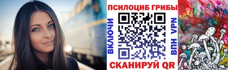 OMG зеркало  Сусуман  Галлюциногенные грибы Psilocybine cubensis  купить наркотик 